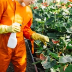 women doing pest control in plants