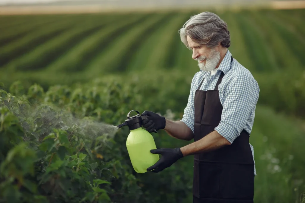 pest control in garden