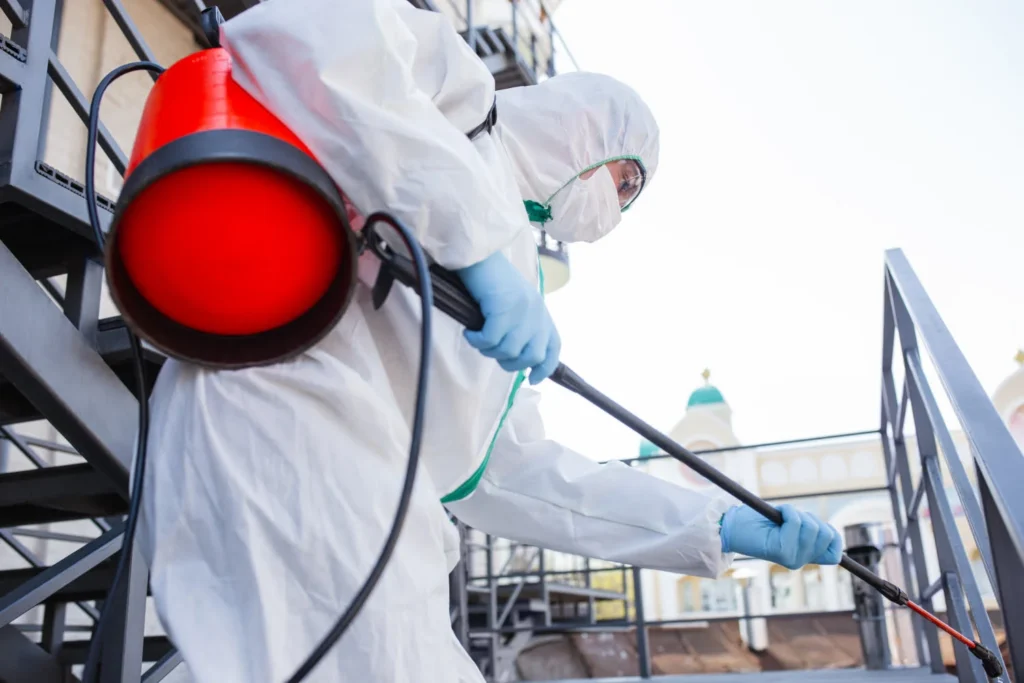 a man doing insect control
